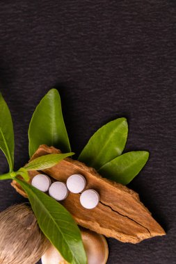 Tarçın çubuğunda dört ayurvedik tablet ve siyah arka planda yeşil otlar. Ayurveda kavramı.