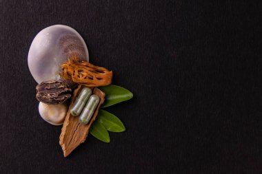 İki bitkisel kapsül, aromatik baharatlar ve deniz salyangozu kabuğunda kopyalanmış otlar. Ayurveda kavramı