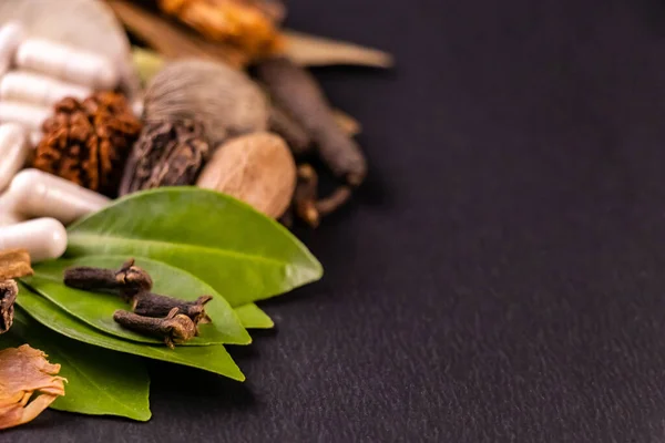 Extreme Nahaufnahme Von Nelken Und Grünen Blättern Mit Verschwommenen Kapseln — Stockfoto