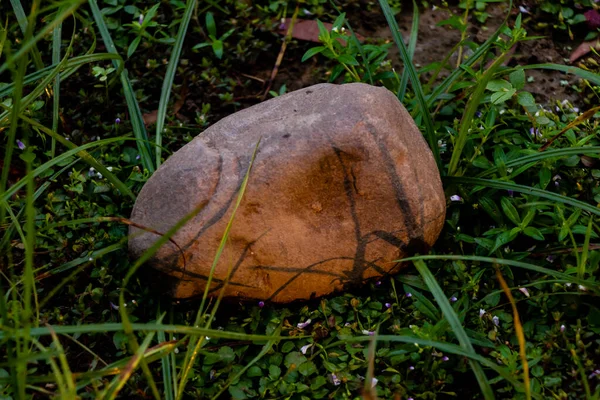 Stein Oder Stein Auf Das Wilde Grüne Gras Mit Sanftem — Stockfoto