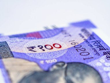 Ekonomi konseptinde 100 rupilik banknotun aşırı yakın plan çekimi.