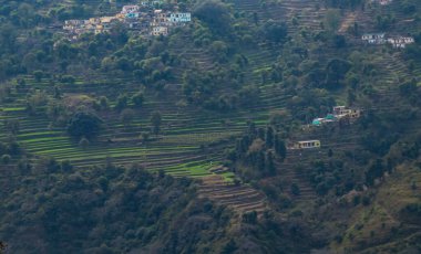 Dağda birkaç evi olan güzel bir teras tipi ekin tarlası manzarası.