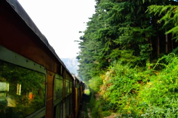 Ângulo Tiro Trem Cruzando Floresta Céu Fundo Conceito Viagem — Fotografia de Stock