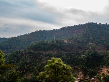 Ağaçlarla kaplı tepeler ve arka planda bulutlu mavi gökyüzü, doğal konseptler.