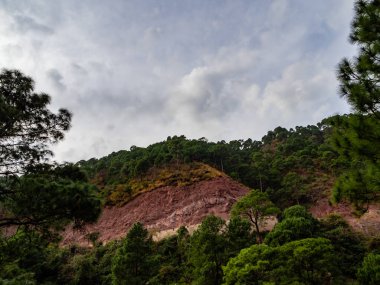  Dağın alçak açılı çekimleri, arka planda bir sürü ağaç ve bulutla kaplı gökyüzü, doğa konsepti.