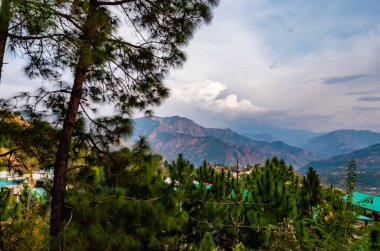 güzel tepelerin ve bulutlu gökyüzünün ön planda ağaçla fotoğrafı, doğal bir kavram.