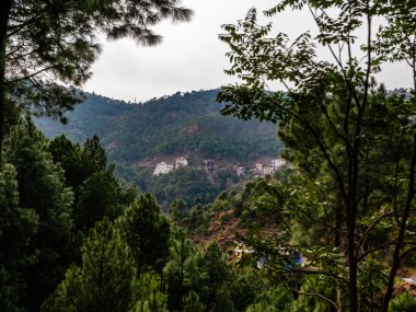  Tepelerin ve gökyüzünün ön planda ağaçlarla çekilmesi, doğal bir kavram.