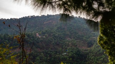 Arka planda ağaçlarla kaplı dağların ve parlak gökyüzünün fotoğrafları