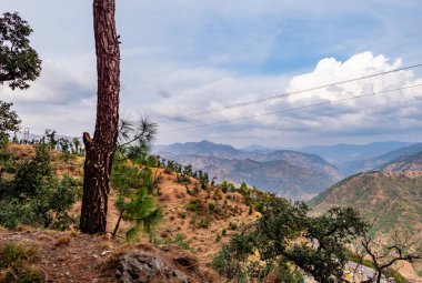 Arka planda bulutlu mavi gökyüzüne karşı orman ve dağların manzarası