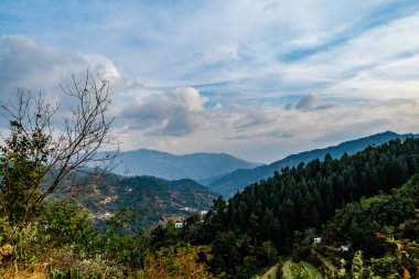  Dağlarla kaplı ağaçlar ve arka planda bulutlu mavi gökyüzü, doğa konsepti.