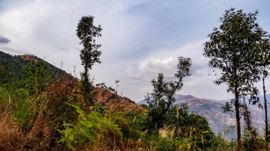 Bulutlu gökyüzünün altında, güzel dağların ve ağaçların geniş bir fotoğrafı, doğa konsepti.
