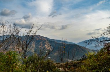 Bulutlu gökyüzü ve ön planda vahşi bitkilerle dolu güzel tepelerin geniş bir görüntüsü, doğa konsepti.