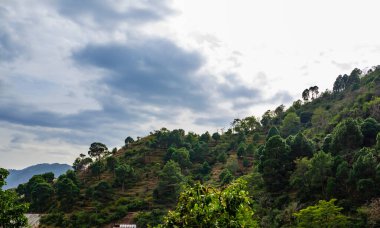 Dağlardaki güzel ağaçların geniş görüntüsü arka planda bulutlu gökyüzü, doğa ve sabah konsepti