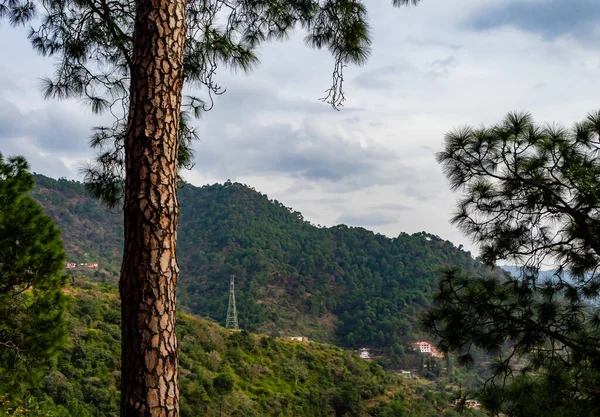 güzel tepelerin ve bulutlu gökyüzünün ön planda ağaçla fotoğrafı, doğal bir kavram.