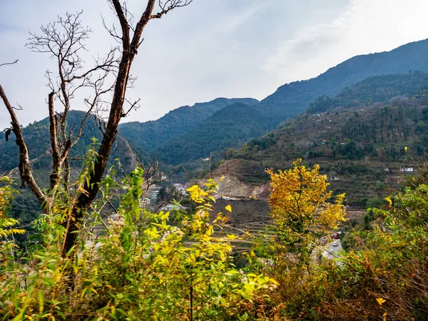 photography of hills and dried tree in a foreground under the bright sky