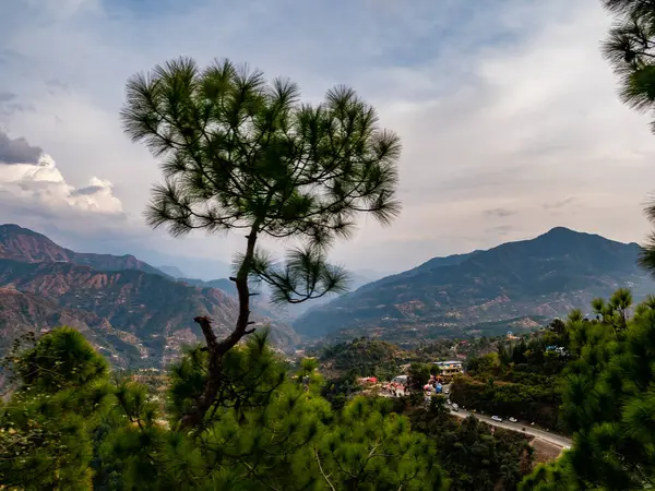  Dağların geniş fotoğrafçılığı ve ön planda ağaçlar olan bulutlu mavi gökyüzü, doğa kavramı. Açıklama