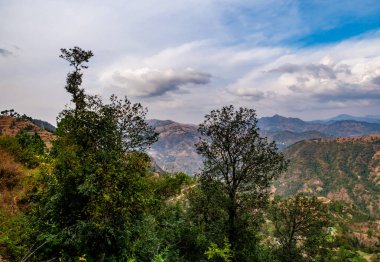 Önplanda geniş ağaçlar bulutlu gökyüzünün altında dağlar, güzellik konsepti.