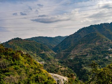 Dağlardaki ağaçların geniş açılı fotoğrafları arka planda bulutlu gökyüzü, doğa konsepti.