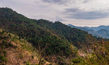 Ağaçlarla kaplı tepelerin geniş manzarası elektrik kabloları ve arka planda bulutlu gökyüzü, doğa kavramı.