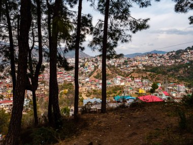Şehrin geniş manzarası ormanın arkasından görülebiliyor. Önü orman, arkası dağ.