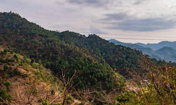 Ağaçlarla kaplı tepelerin geniş manzarası elektrik kabloları ve arka planda bulutlu gökyüzü, doğa kavramı.
