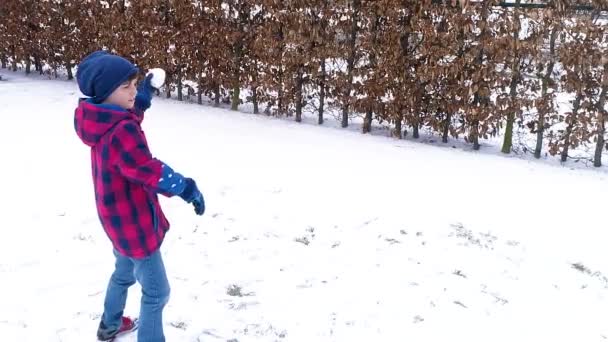 Chico Divirtiéndose Nieve Lanzando Bola Nieve Cámara Lenta — Vídeos de Stock