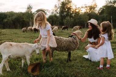 Anne-kız çiftlikte yaz günü, çayırda beyaz elbiseli bir kuzuyu besler.