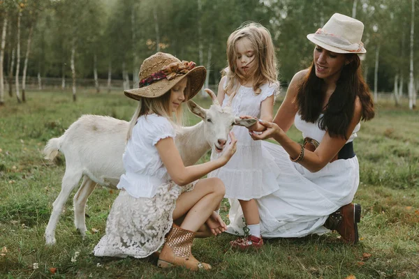 Mother Daughters Feed Goat Meadow White Dresses Farm Summer Day — Stock Photo, Image