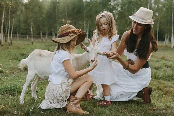 Mother Daughters Feed Goat Meadow White Dresses Farm Summer Day — Stock Photo, Image