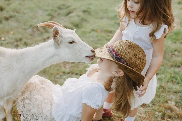 Children Goat Meadow Summer Day Feeding Animal Life Farm — Stock Photo, Image