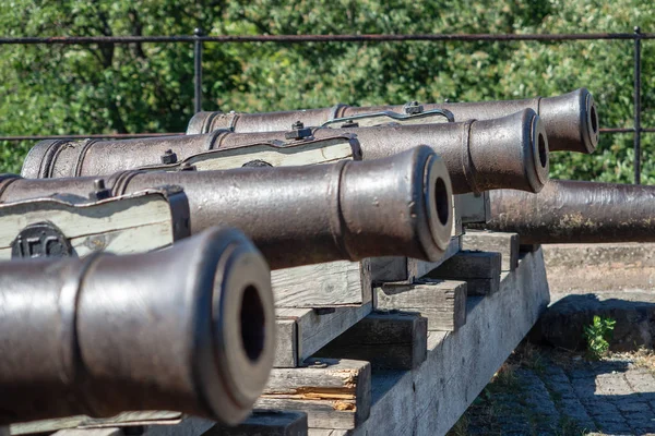 Cannone per l'orto botanico di Uppsala, Svezia — Foto Stock