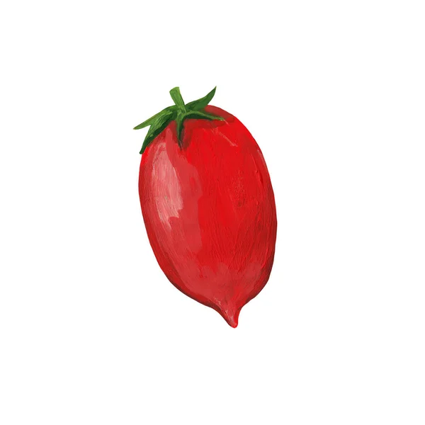 Tomate Vermelho Maduro Molde Cilindro Isolado Branco Guache Desenhado Mão — Fotografia de Stock