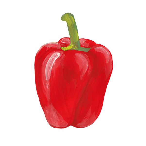 Pimenta Vermelha Inteira Isolada Branco Guache Desenhado Mão Pinta Ilustração — Fotografia de Stock
