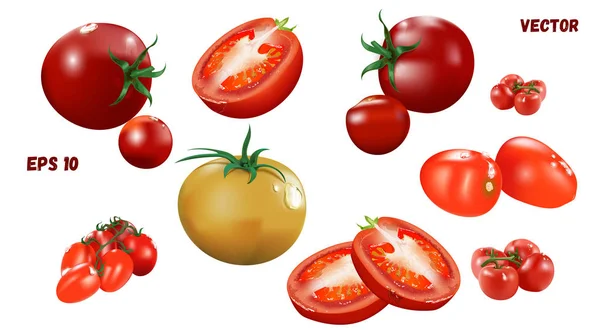 Illustrazione vettoriale di pomodori succosi e freschi di diverse varietà — Vettoriale Stock