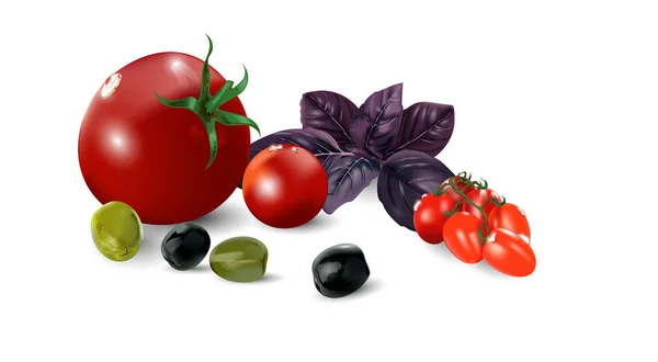 Verse tomaten met olijven en basilicum in vectorvorm. — Stockvector