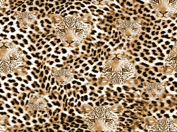 豹子无缝花纹棕色染色纹理设计 — 图库照片