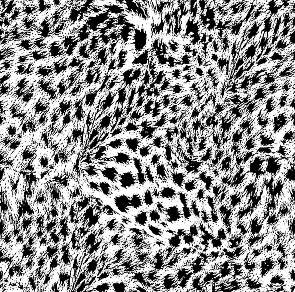 leopard skin seamless pattern texture design black and white
