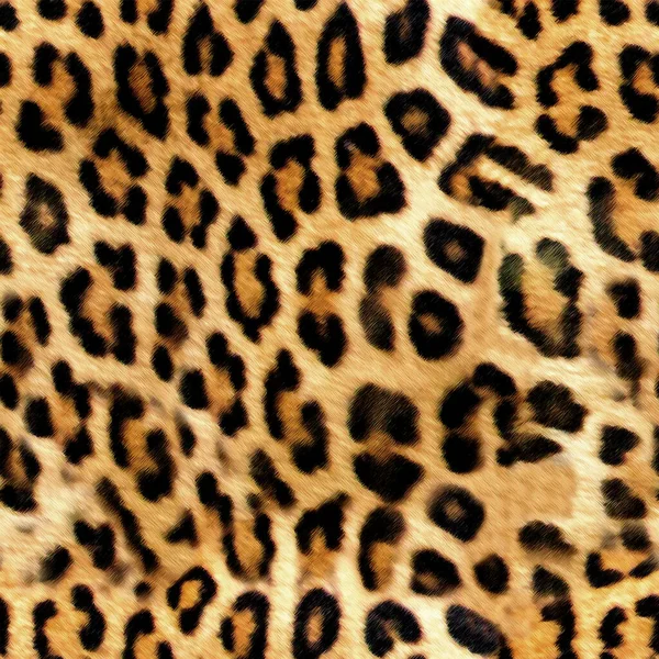 豹纹图案彩色图案 — 图库照片
