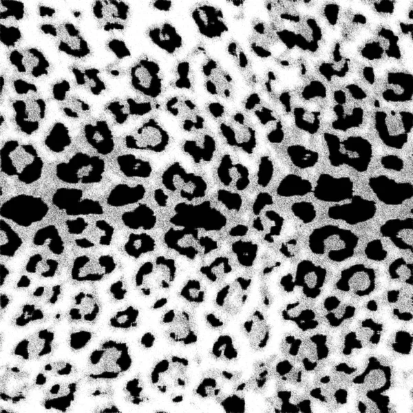 Modern leopard skin for print pattern black and white