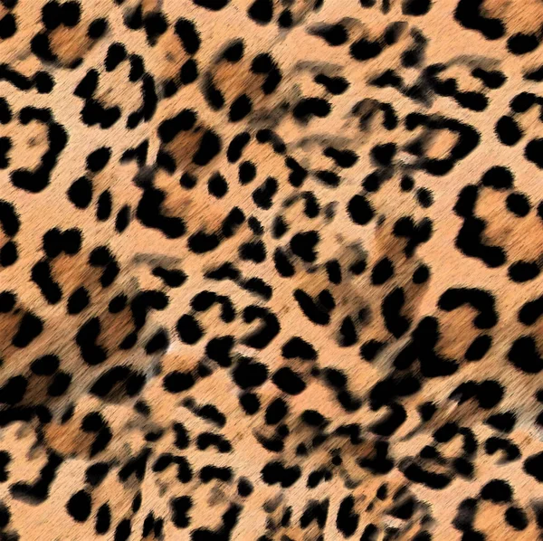 豹纹图案彩色水彩画 — 图库照片
