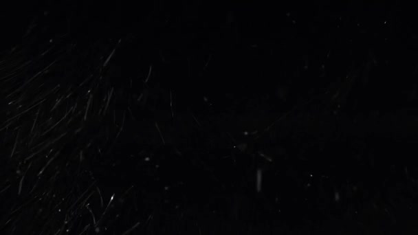 Zima, silný sníh na černém pozadí — Stock video