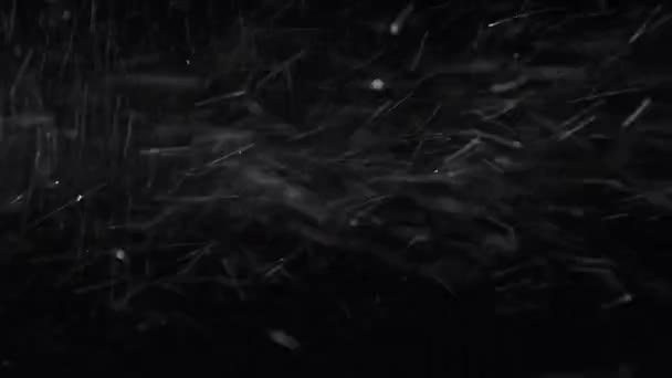 Зима, сильний сніг на чорному тлі — стокове відео