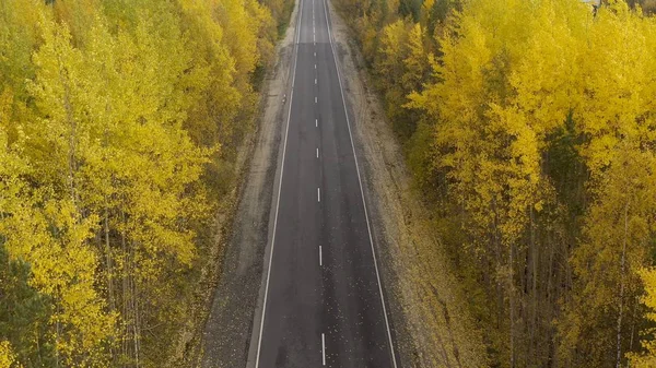 Autumn. Road top view. Travel background. Road in yellow fall forest. Highway on sunny autumn day.