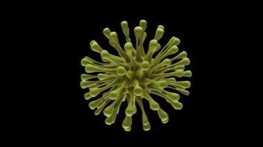 Siyah izole edilmiş arka planda birkaç viral bakterinin 3D görüntülenmesi