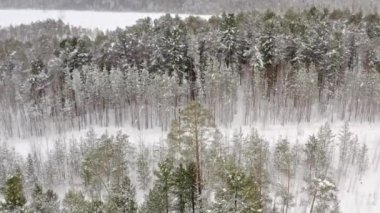 A view of magical winter wood, there is heavy snow.