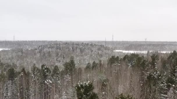 Una vista de la madera mágica del invierno, hay nieve pesada . — Vídeo de stock