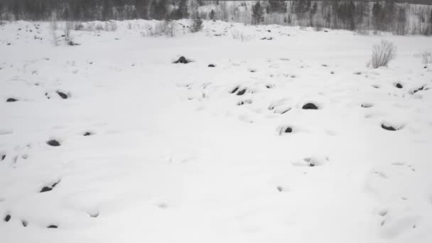 Dump old used car rubber, winter aerial view. The threat of nature hazard, — Stock video