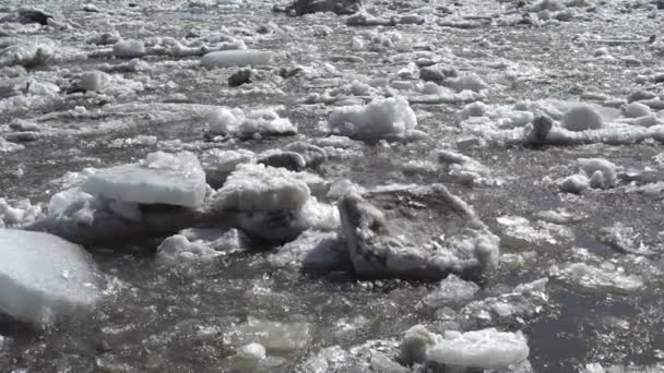 Pezzi di ghiaccio galleggiano passato, il fiume si scioglie in primavera, primo piano — Video Stock