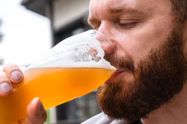 Bearded man drinks beer from beer glass close up