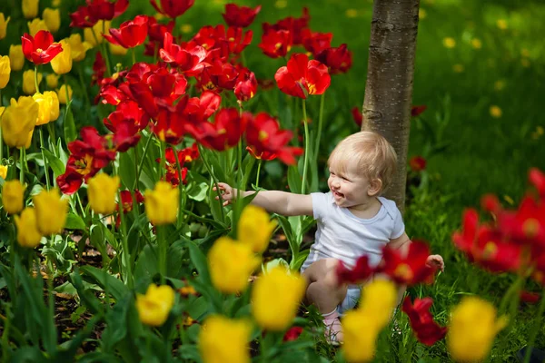 Ein Kleines Kind Einem Garten Voller Blühender Tulpen — Stockfoto